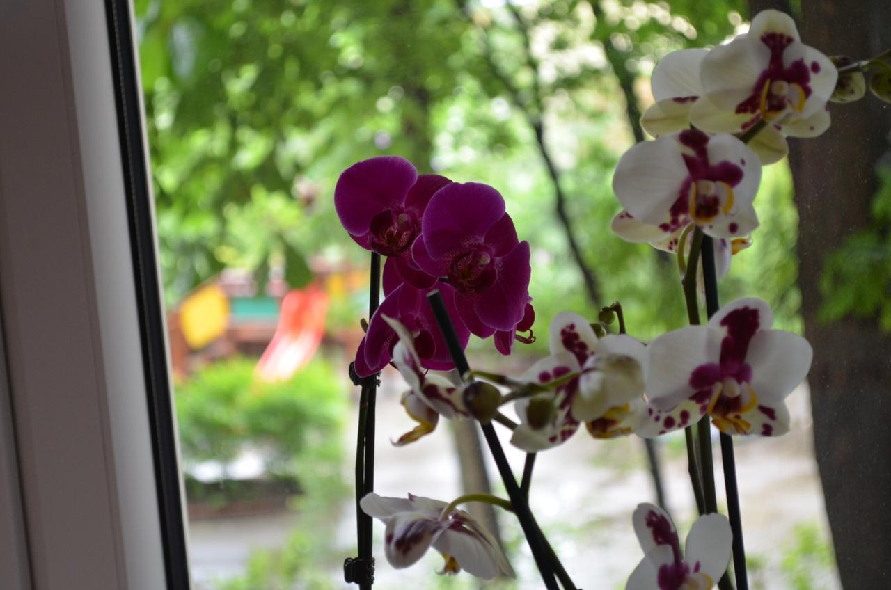 Apartament Orchidea Centrum Varsavia Esterno foto
